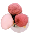 Fluffy Zachte Rozenkwast 5 x 3,3 x 12,5 cm Cosmetische Kwast voor Poeder, Nagelpoeder of Make-up 7