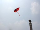 Flygande drake - Fladdermus 7