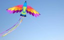 Flying Kite in the Shape of a Bird 1