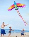Flying Kite in the Shape of a Bird 2