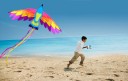 Flying Kite in the Shape of a Bird 3