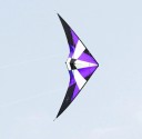 Flying Kite in the Shape of a Hang Glider J2553 5