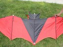 Flyvende drage - flagermus 3