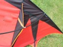 Flyvende drage - flagermus 5