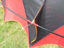 Flyvende drage - flagermus 6