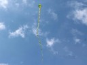 Flyvende drage i form af en slange 2