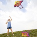 Flyvende drage i form af en sommerfugl 2