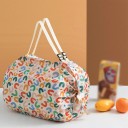 Foldable Shopping Bag 40 x 40 cm from Nylon Large Capacity 48–64 l Folds to 8 x 8.5 cm Waterproof Bag with Pattern 3