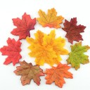 Folhas de bordo decorativas - 100 unid 1