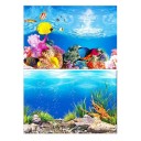 Fond double face pour aquarium 2