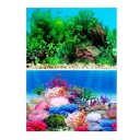 Fond double face pour aquarium 4