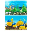 Fond double face pour aquarium 5