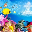 Fond double face pour aquarium 11
