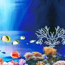 Fond double face pour aquarium 12