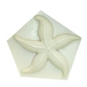 Forma de silicone estrela do mar 3