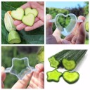 Forma para moldar o crescimento de frutas e legumes J666 3