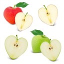 Forma para moldar o crescimento de frutas e legumes J666 8