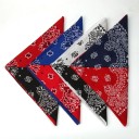 Foulard da uomo bicolore 2