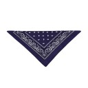 Foulard de cowboy pour enfants 4