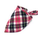 Foulard per cani 14