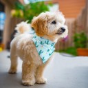 Foulard pour chiens C870 2