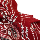 Foulard quadrato rustico 70 x 70 cm per donne Foulard paisley morbido Elegante sciarpa universale decorativa Quattro stagioni 5