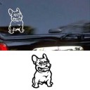 Fransk bulldog bilklistermærke 4