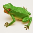 Frøfigur 5