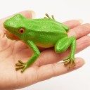 Frøfigur 1