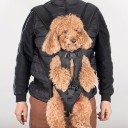 Front Dog Backpack Carrier Size M Adjustable Harness with Padding and Ventilation Travel Backpack for Pets 2