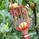 Frugtplukker 2
