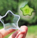 Fruit and Vegetable Growth Shaping Mould J666 10