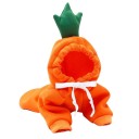 Fruit/groente hondenkostuum 5