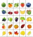 Fruktklistermärken 100 st 6