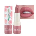 Fugtgivende vandfast fløjlsmat læbestift Langtidsholdbar vandfast mat læbestift med fugtgivende lipgloss Mat vandfast læbestift Lip Glaze 3