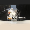 Funny Car Sticker - Cat 4