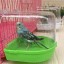 Fürdőszoba madarak számára 2