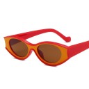 Gafas de sol de mujer E1801 8