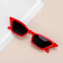 Gafas de sol de ojo de gato para mujer 10