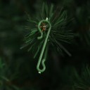 Ganci per decorazioni 50 pz 4