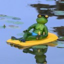 Garden Decoration Frog H1040 8