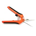 Garden Shears 1