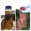 Garrafa de viagem para bebidas com impressão do mapa-múndi Tampa de rosca na cor da impressão Plástico transparente Capacidade 500 ml 9