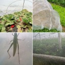 Gartennetz gegen Vögel 3