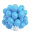 Geburtstagsballons 25 cm 20 Stk 8