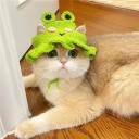 Gehäkelter Hut für Katzen Frosch Größe S Hut für Haustiere bis 2,5 kg Gehäkelter Hut mit Froschmotiv 2