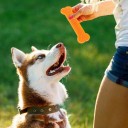 Gekleurde kauwbot voor honden met masserende punten voor tandreiniging training apport 15 x 4 cm 3