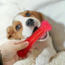 Gekleurde kauwbot voor honden met masserende punten voor tandreiniging training apport 15 x 4 cm 4