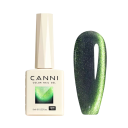 Gel de unhas de design 9 ml Verniz UV/LED magnético olho de gato Sem HEMA Composição ecológica Duração 3–4 semanas 6