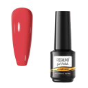 Gel de unhas J3298 5